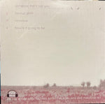 I Call Fives : Someone That's Not You (7", EP, Mar)