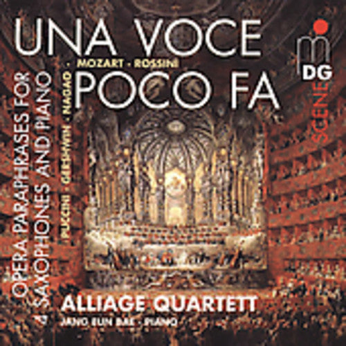the album cover for Jang Eun Bae - Una Voce Poco Fa