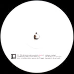 Newworldaquarium : Theme From (12")