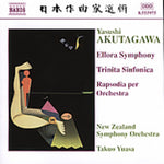 the album cover for Takuo Yuasa - Ellora Symphony