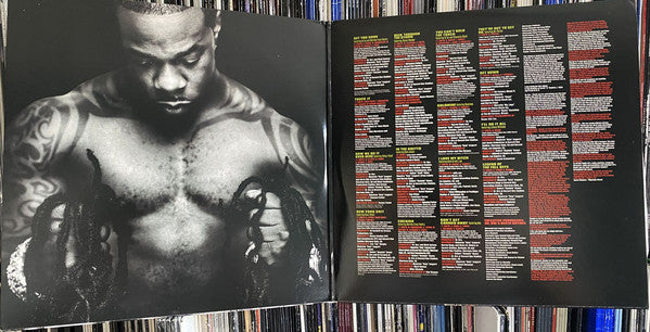 レコード Busta Rhymes - The Big Bang 12インチレコード2LP