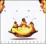 the album cover for Franzschubert - Bump