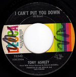 Tony Ashley : We Must Have Love / I Can't Put You Down (7", Single)