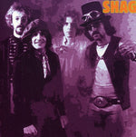 the album cover for Shag - 1969