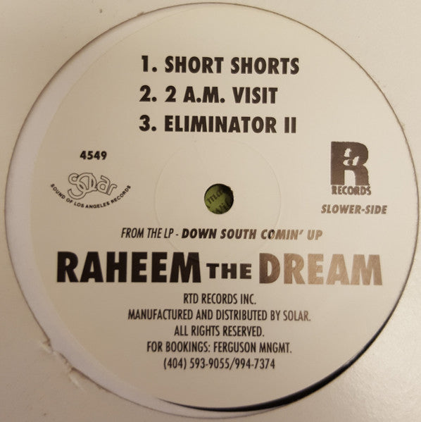 Raheem The Dream : Down South Comin' Up (Sampler) (12", Smplr)