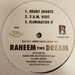 Raheem The Dream : Down South Comin' Up (Sampler) (12", Smplr)