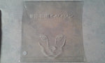 Disclosure (3) : Caracal (2xLP, Album)