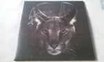Disclosure (3) : Caracal (2xLP, Album)