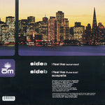 Kaskade Featuring Joslyn : I Feel Like (12")