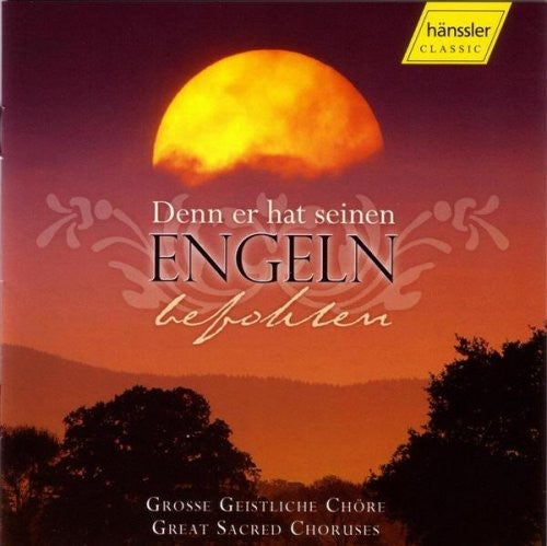 the album cover for Denn Er Hat Seinen Engeln Be - Denn Er Hat Seinen Engeln Befohlen / Various