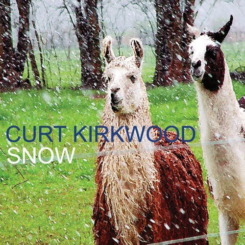 the album cover for Curt Kirkwood - Snow