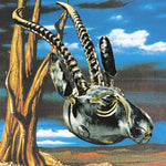the album cover for Skygreen Leopards - Jehovah Surrender