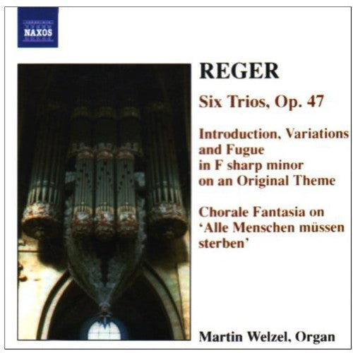 the album cover for Martin Welzel - Organ Works 6