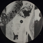Naive (5) / Voyager 3 (2) : Somewhere New / Beginning To End (12")