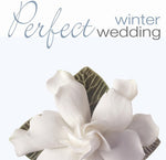 the album cover for Perfect Wedding Winter / Various - Perfect Wedding: Winter / Various