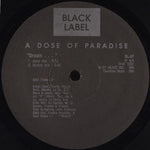 A Dose Of Paradise : Door 2 My House (12")