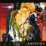 the album cover for Amygdala - Amygdala