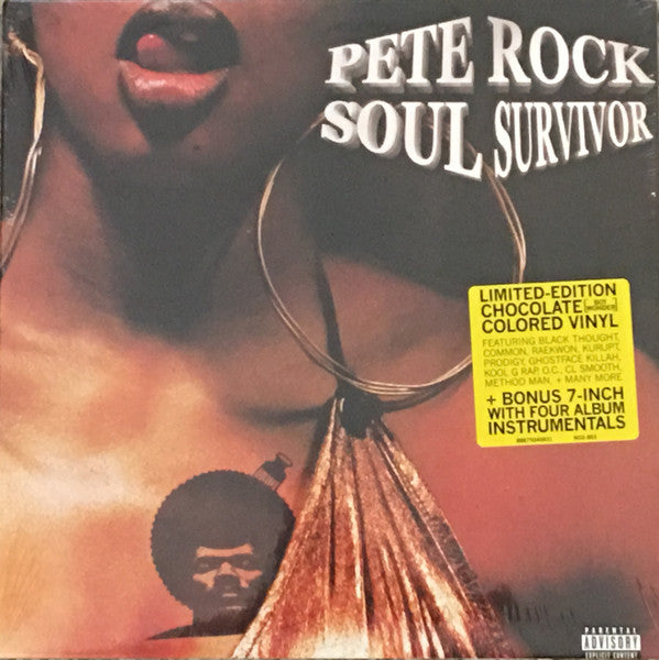 洋楽 (2LP) Pete Rock / Soul Survivor PETE ROCK(2LP) SOUL SURVIVOR -DJ機材アナログレコード専門店OTAIRECORD
