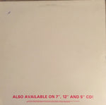 Sample Syndicate : TBM Mix 5 - Swing Beats In The House! (12")