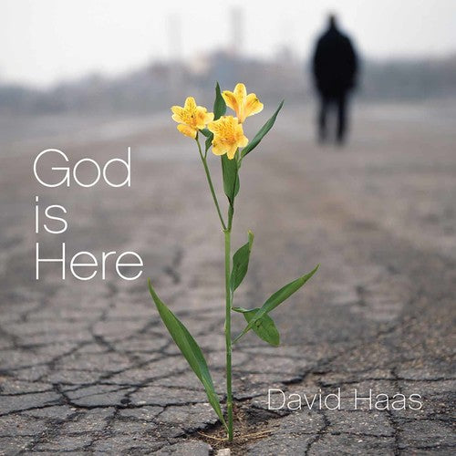the album cover for David Haas - God Is Here