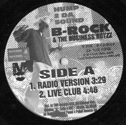 B-Rock And The Business Boyzz : Hump 2 Da Sound (12")
