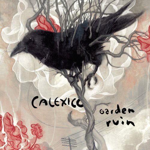 the album cover for Calexico - Garden Ruin
