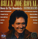 the album cover for Billy Royal Joe - Down in the Boondocks