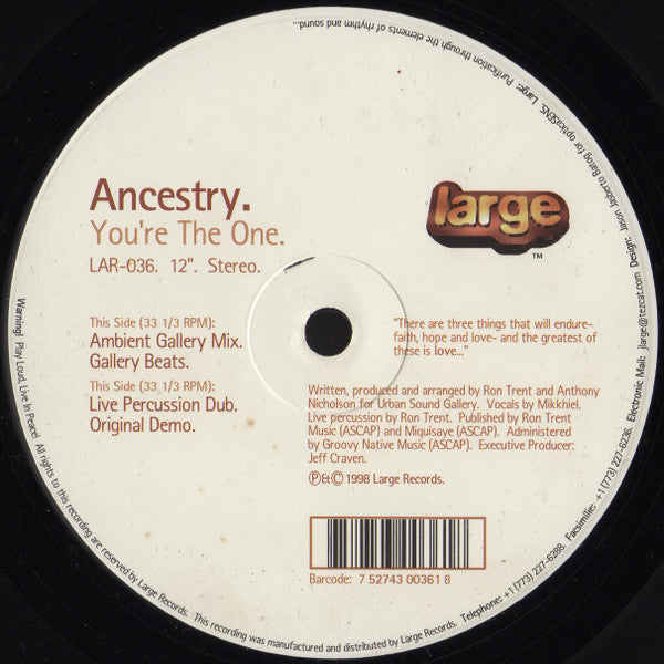 Ancestry : You're The One (12")
