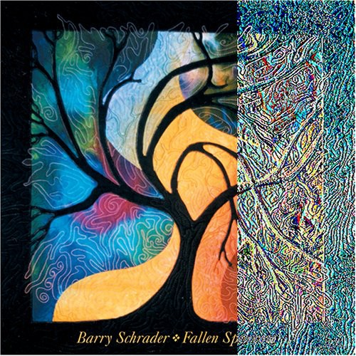 the album cover for Barry Schrader - Fallen Sparrow