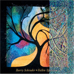 the album cover for Barry Schrader - Fallen Sparrow