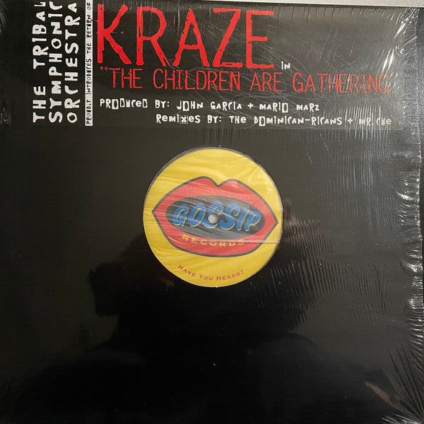 Kraze : The Children Are Gathering (12")