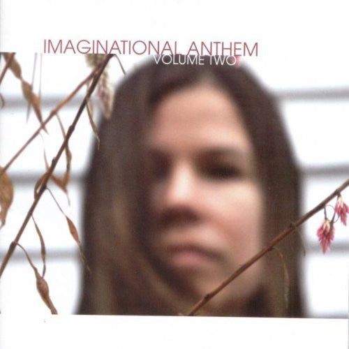 the album cover for Imaginational Anthem - Imaginational Anthem, Vol. 2