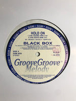Black Box : Hold On (12")