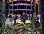 Grateful Dead* : Dozin' At The Knick (3xHDCD, Album)
