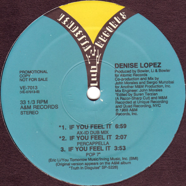 Denise Lopez : If You Feel It (12", Promo)