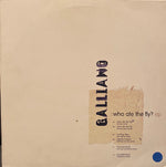 Galliano : Who Ate The Fly? (2x12", EP, Promo)