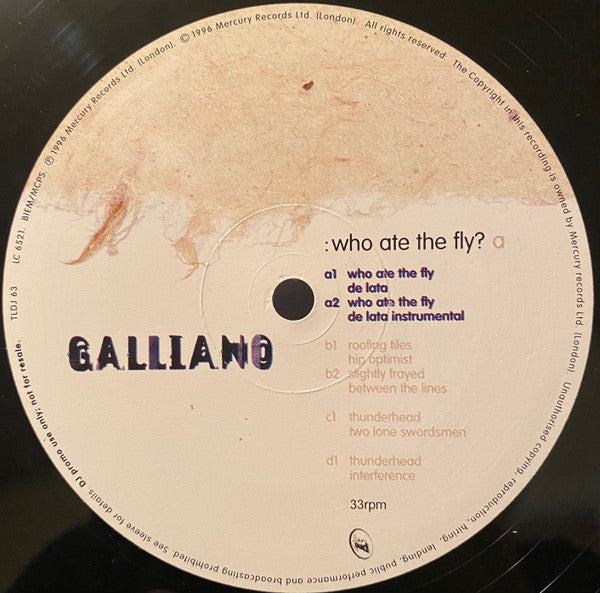 Galliano : Who Ate The Fly? (2x12", EP, Promo)