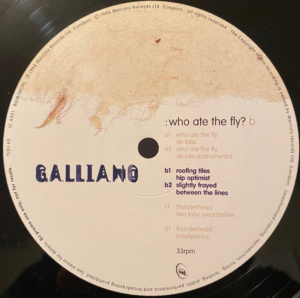 Galliano : Who Ate The Fly? (2x12", EP, Promo)