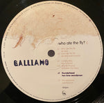 Galliano : Who Ate The Fly? (2x12", EP, Promo)