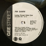 P.M. Dawn : Looking Through Patient Eyes (12")