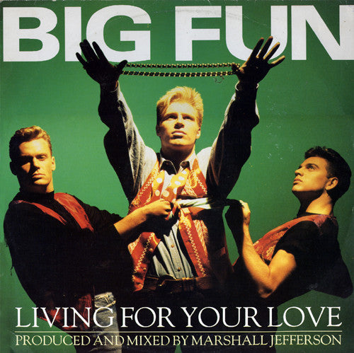 Big Fun : Living For Your Love (12", Single)