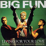 Big Fun : Living For Your Love (12", Single)