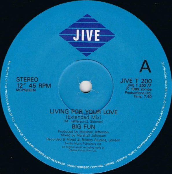 Big Fun : Living For Your Love (12", Single)