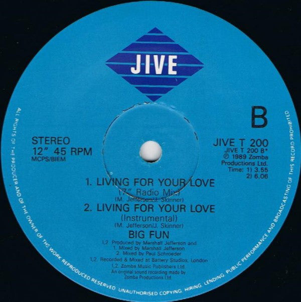Big Fun : Living For Your Love (12", Single)