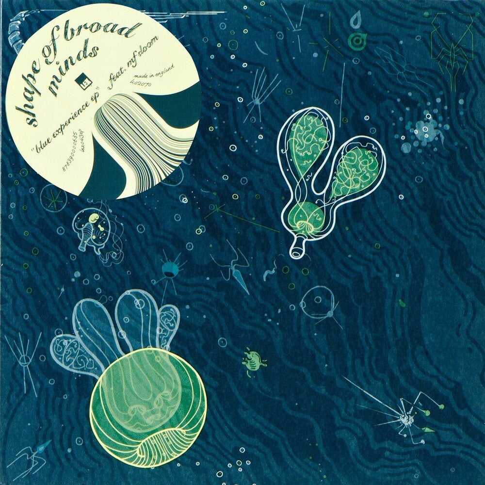 the album cover for Shape Of Broad Minds - Blue Experience