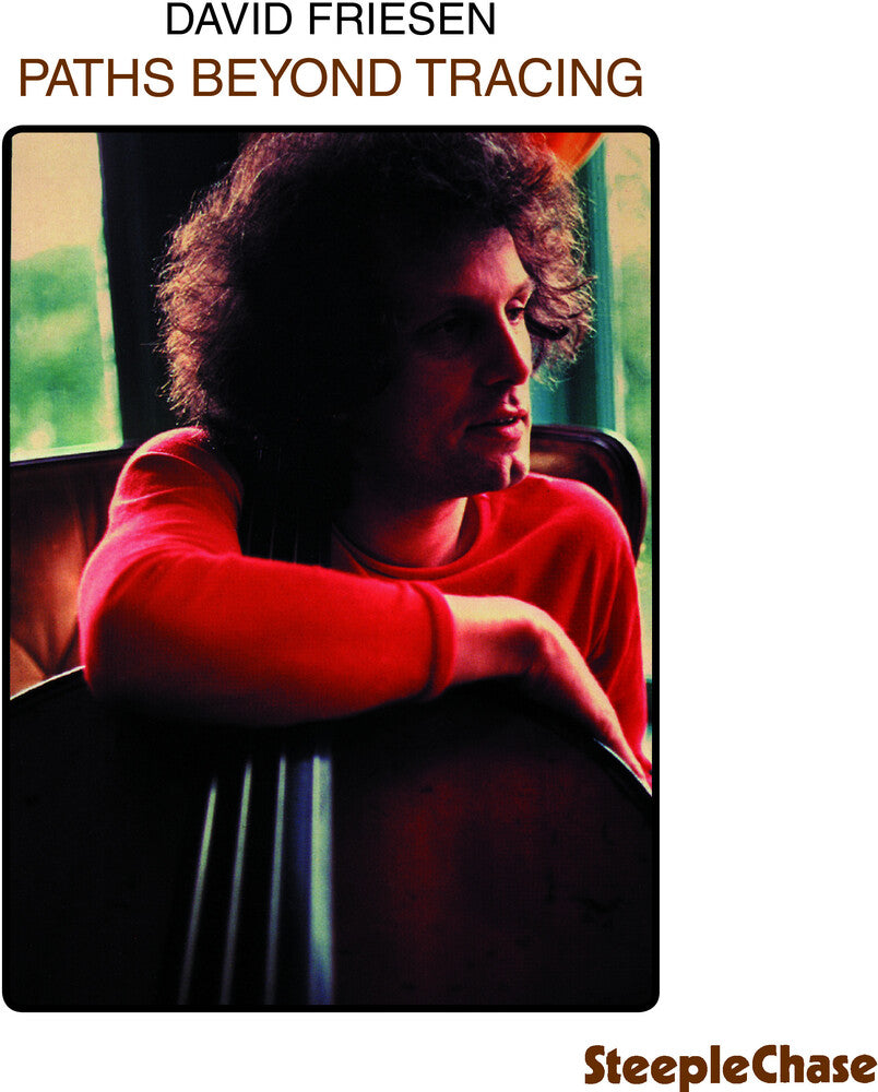 the album cover for David Friesen - Paths Beyond Tracing [Import]