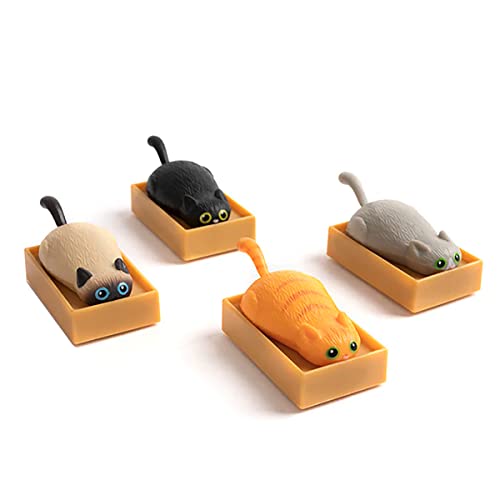 Gato de carreras en una caja