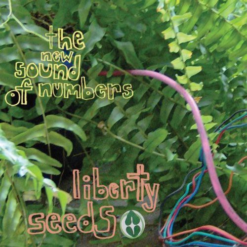 the album cover for New Sound of Numbers - Liberty Seeds