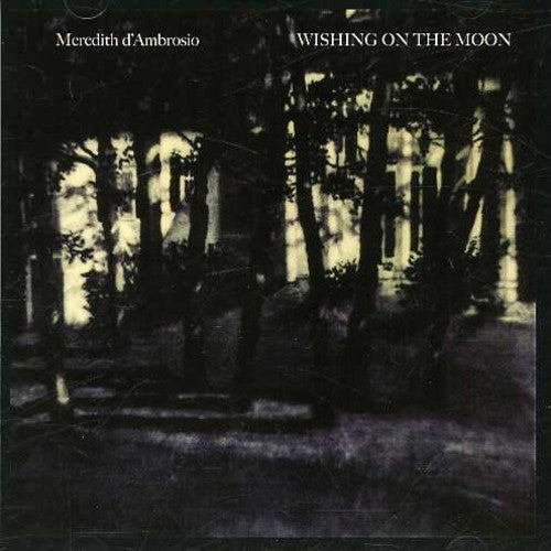 the album cover for Meredith Dambrosio - Wishing on the Moon