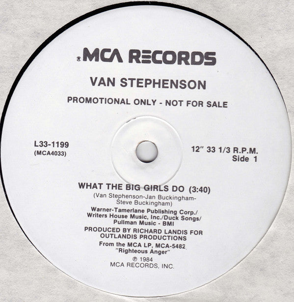 Van Stephenson : What The Big Girls Do (12", Promo)